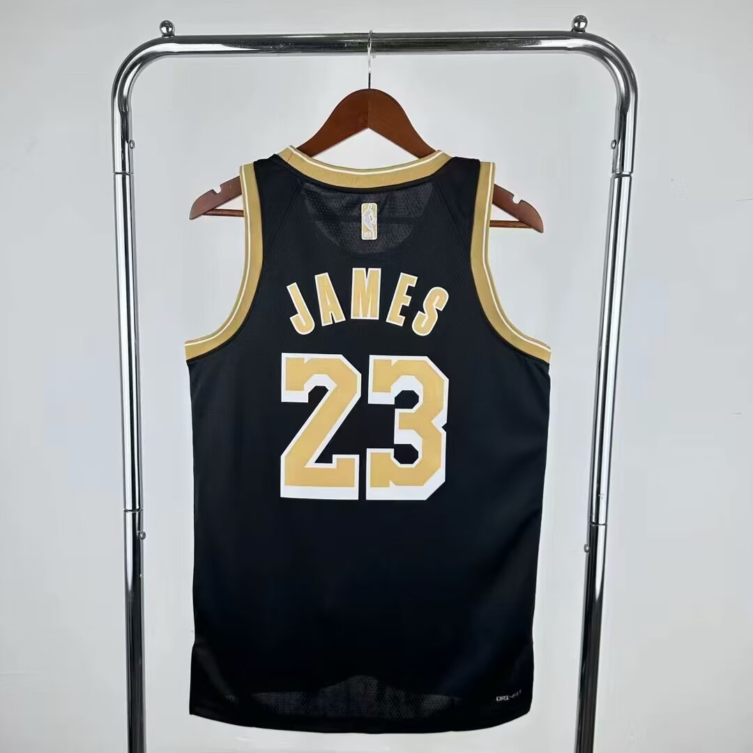 Men Los Angeles Lakers #23 LeBron James Nike black 2024 NBA Jersey